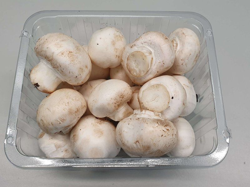 Storage of fresh produce